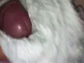 *さんのブラジャーに射精